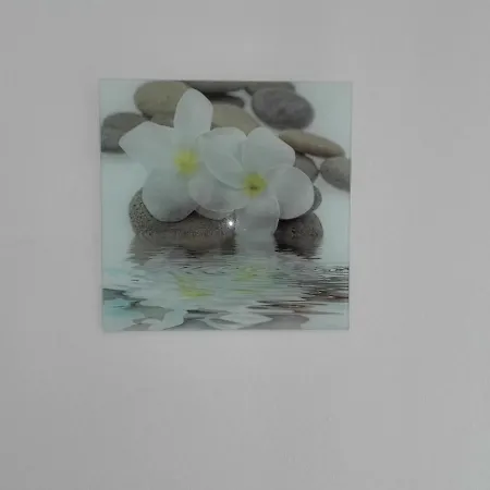 Gardenia *