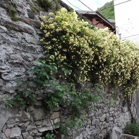Apartmán Gardenia *